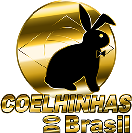 Logomarca - acompanhantes Aracaju, garotas de programa em Aracaju | COELHINHAS DO BRASIL